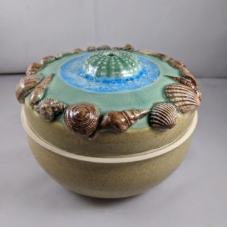 Sea urchin in the sea jar -SECOND